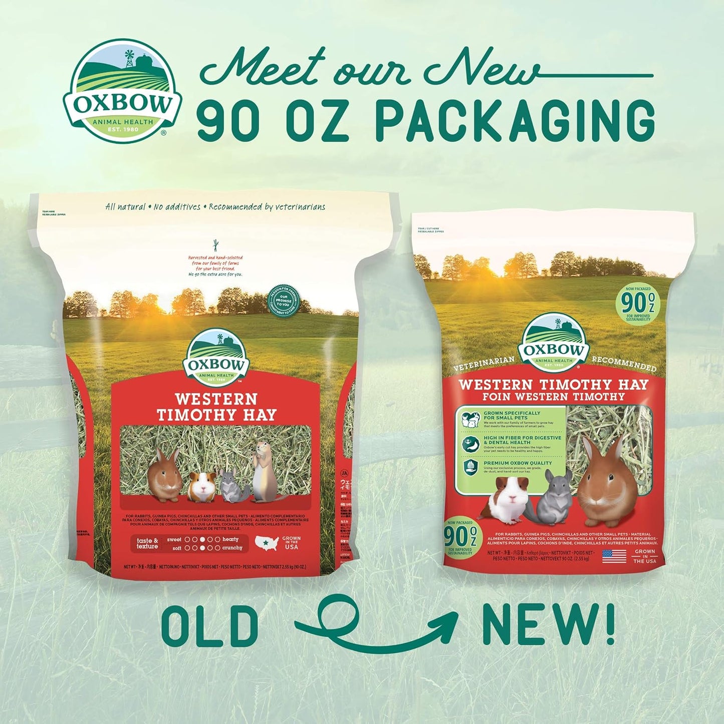 Animal Health Western Timothy Hay - All Natural Hay for Rabbits, Guinea Pigs, Chinchillas, Hamsters & Gerbils -Veterinarian Recommended- Grown in the USA-90 Oz.