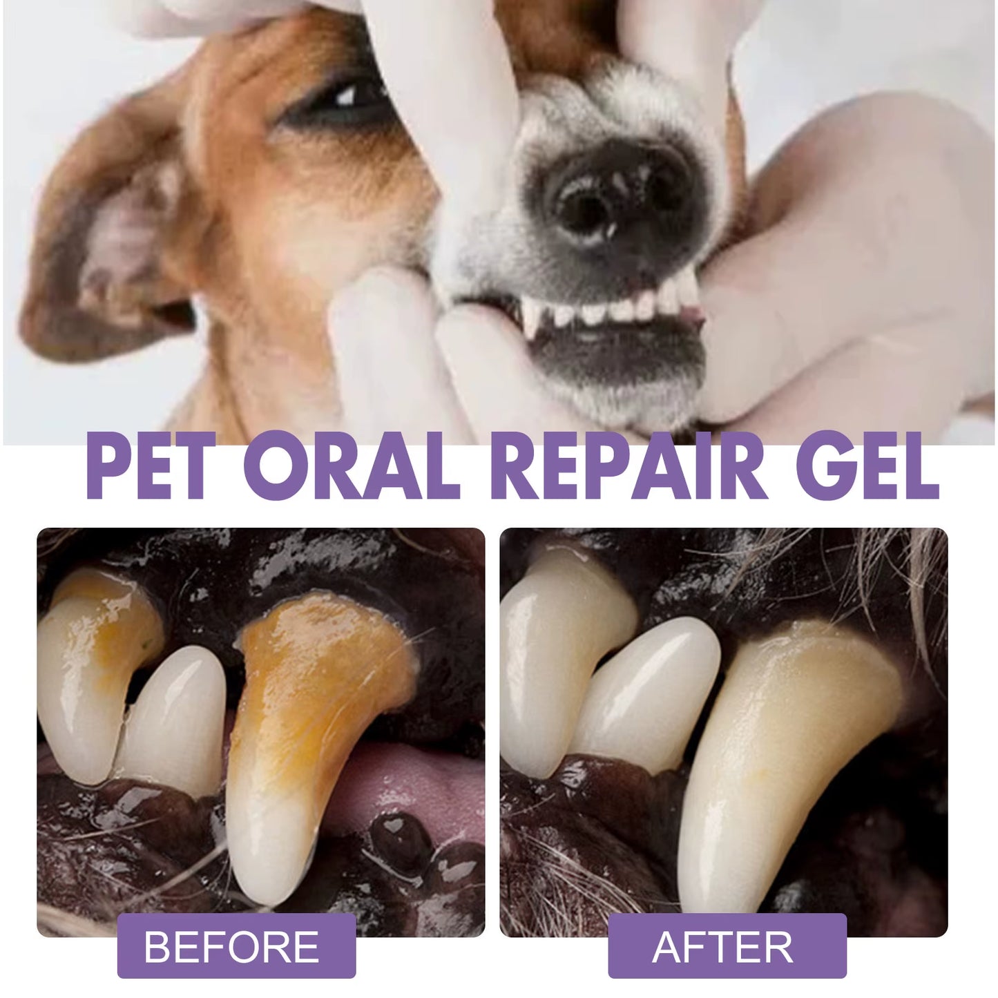 FreshPaws™ Pet Oral Repair Gel – The Ultimate Smile Saver for Cats & Dogs