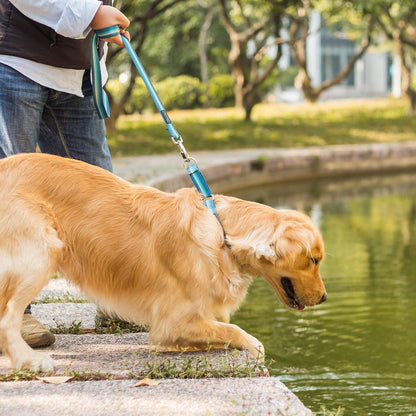 Martingale Dog Collar No Pull Pet Collar Heavy Duty Dog Martingale Collars Silky with Unique Geometric Pattern for Medium and Large Dogs (Large, Turquoise)