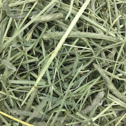 Animal Health Western Timothy Hay - All Natural Hay for Rabbits, Guinea Pigs, Chinchillas, Hamsters & Gerbils -Veterinarian Recommended- Grown in the USA-90 Oz.