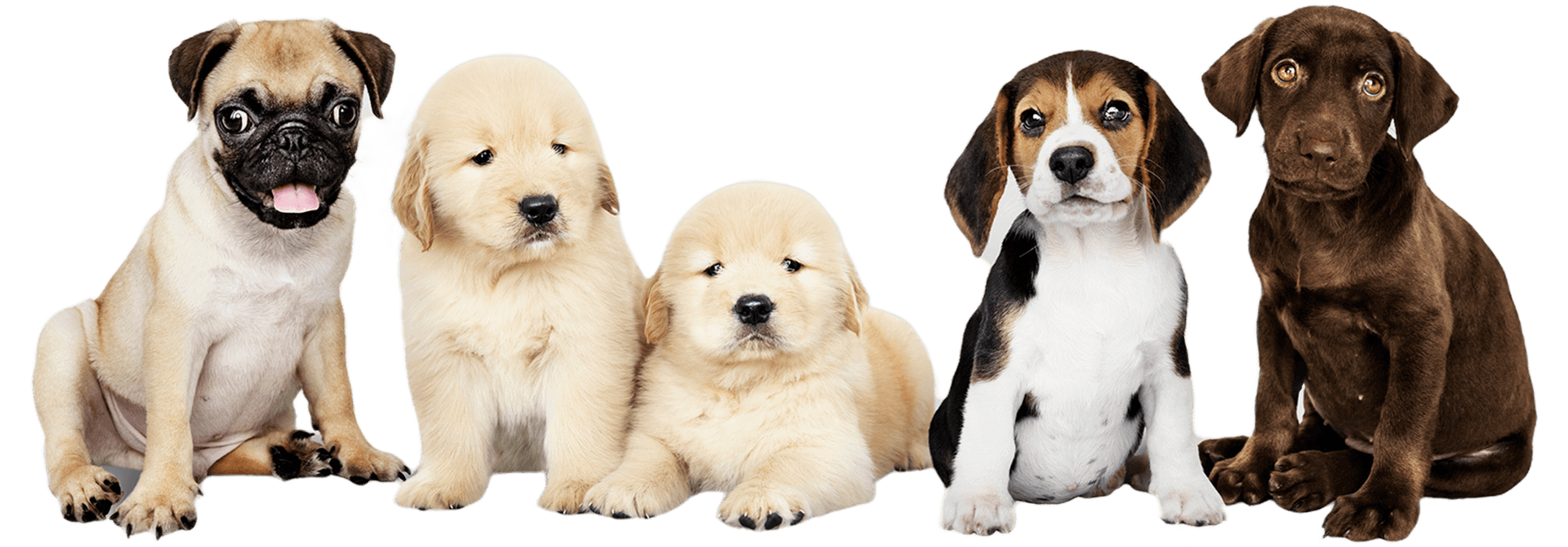 Custom image description